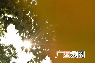 映入眼帘是什么意思,映入眼帘同义词？