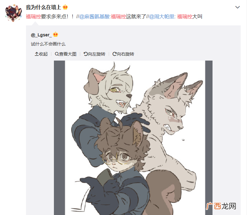 “furry控”的中文谐音 福瑞控是什么梗