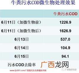 bod是什么意思,bod表示?