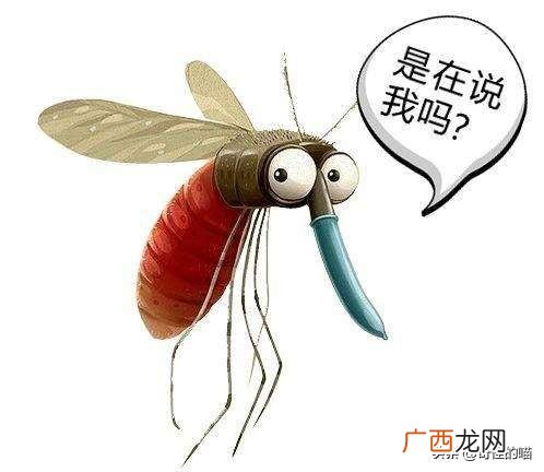 我们常说的四害的由来  灭四害是指的哪四害