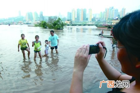 什么时候进二伏天,二伏天什么鱼好钓？