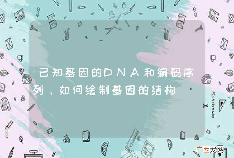 已知基因的DNA和编码序列，如何绘制基因的结构