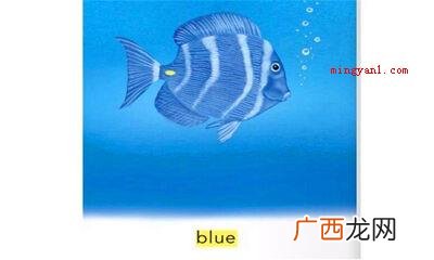 blue什么意思