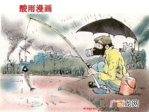 酸雨的主要成分是什么