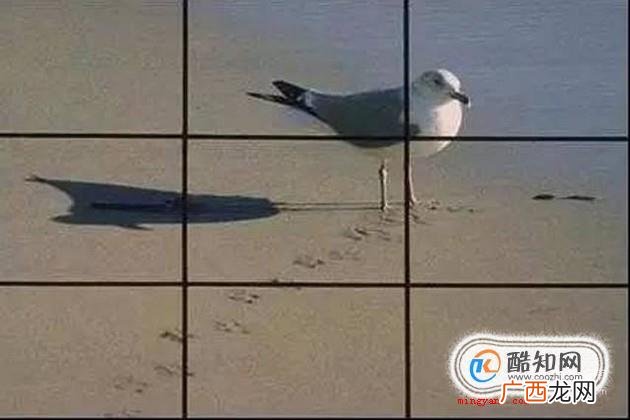 什么是三分构图法?三分构图法怎么用?