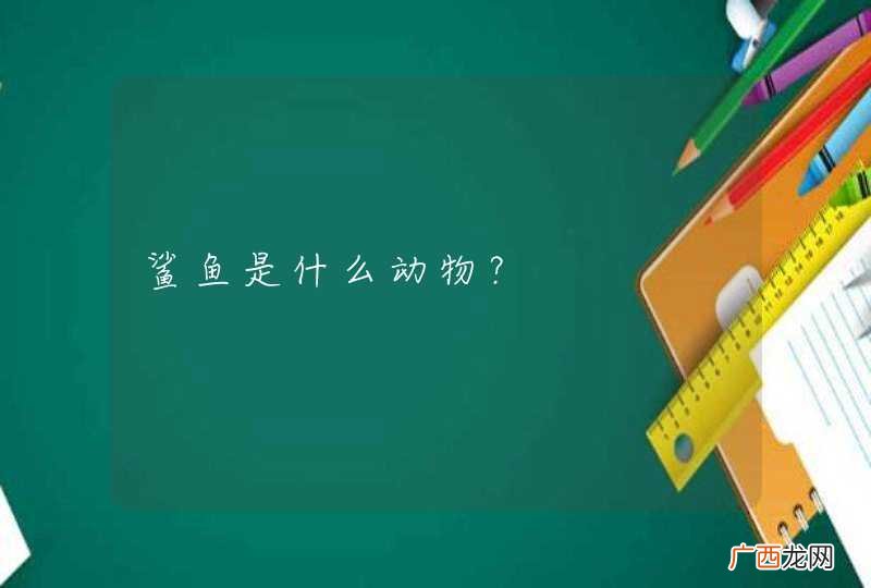 鲨鱼是什么动物？