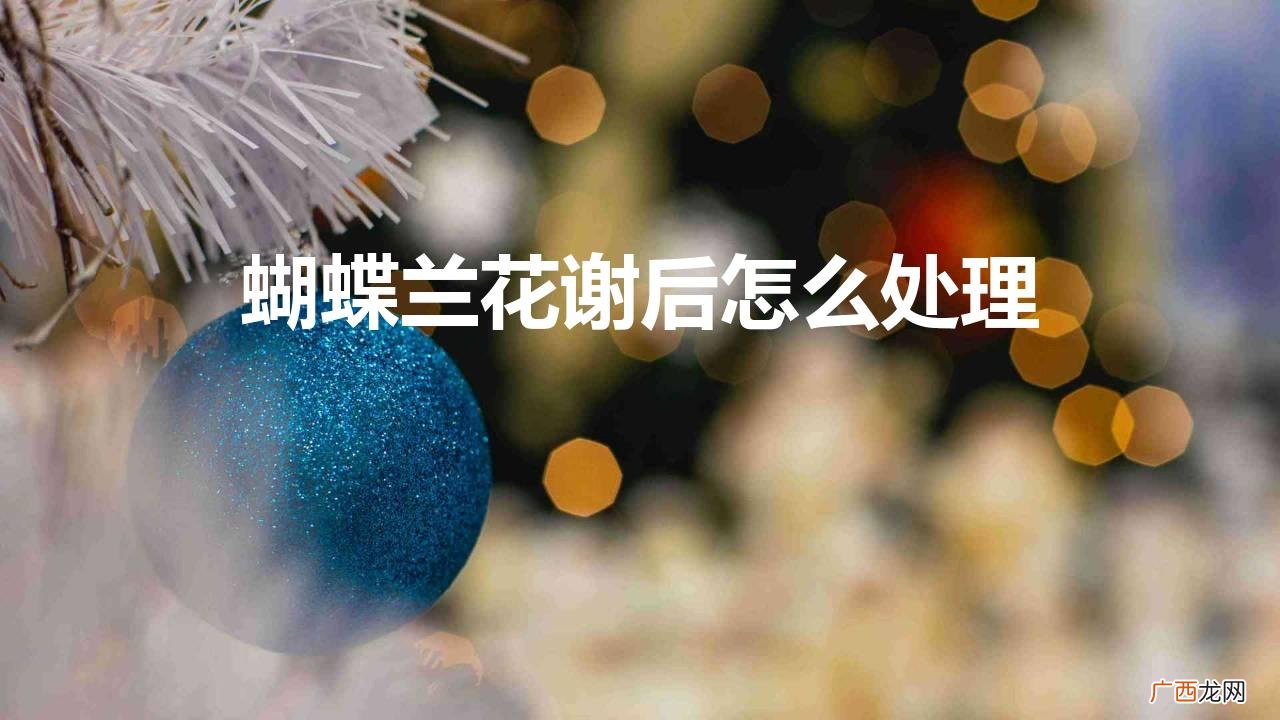蝴蝶兰花谢后怎么处理