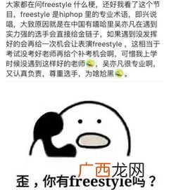style是什么意思中文,beautystyley什么意思？