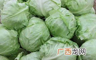 cabbage是什么意思,“broccoli”是什么意思？