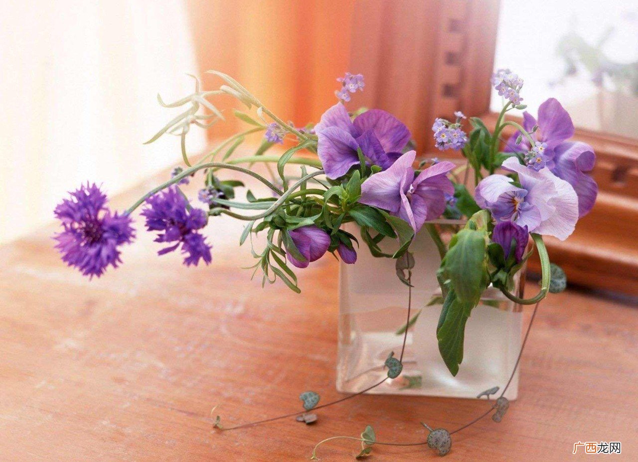 插花水里放盐还是糖,鲜花养花?加盐可以延长花期吗？