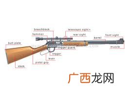 bore是什么意思,bore是什么词性？