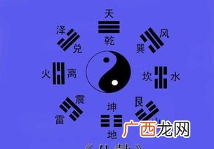 喜悦是什么意思,兴奋，喜悦和欣喜的区别？
