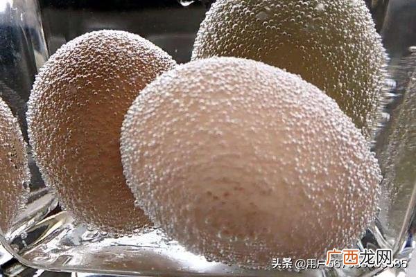 用醋泡鸡蛋会发生什么变化,白醋泡鸡蛋的化学实验现象?