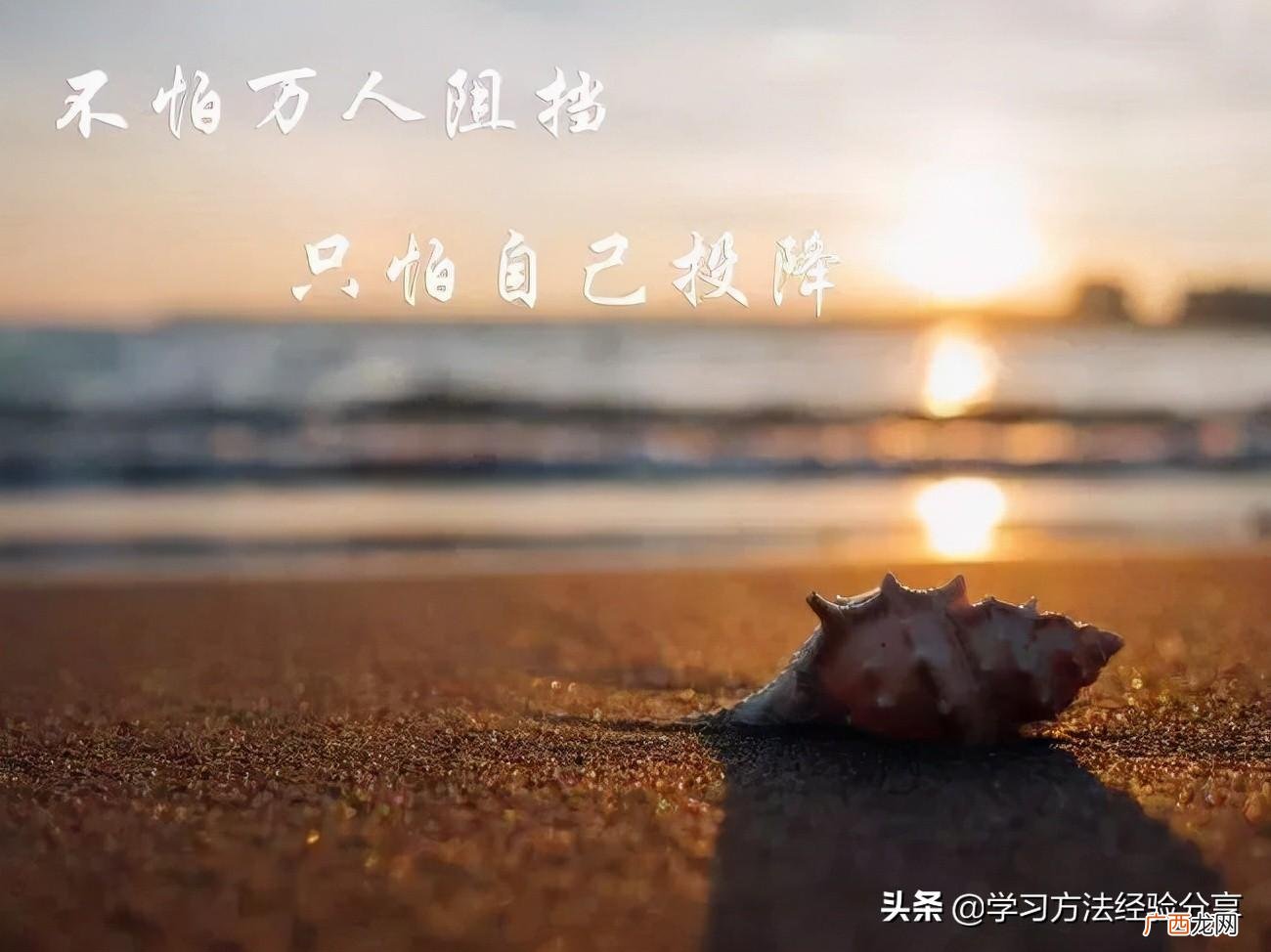 怎么样才能让自己的成绩提高上去 学渣真的能逆袭吗