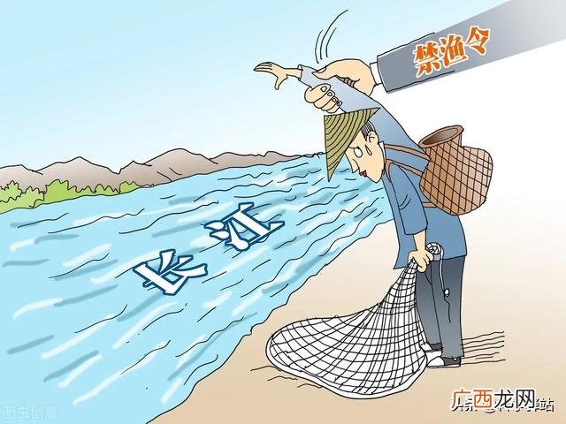 长江禁渔保护的不只是鱼开始恢复资源 长江禁渔十年原因