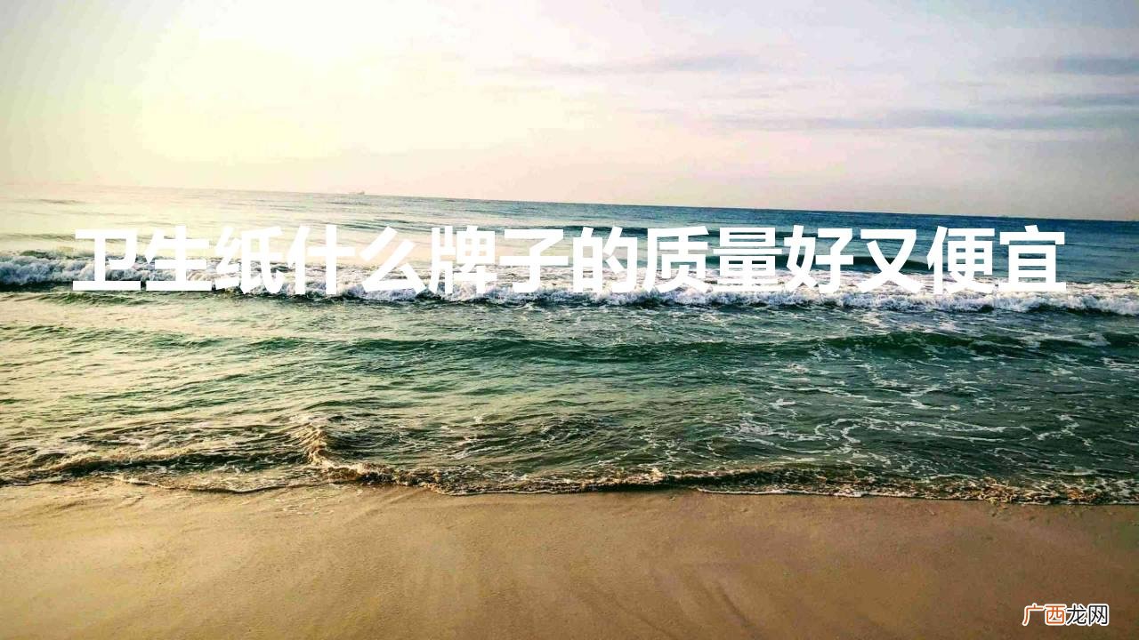 什么牌子卫生纸性价比高 卫生纸什么牌子的质量好又便宜