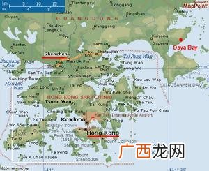 第一座大型商用核电站叫什么名字,我国第一座合资核电站？