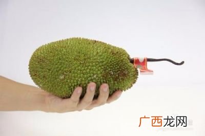 如何挑选好吃的菠萝蜜,怎么样挑选菠萝蜜？