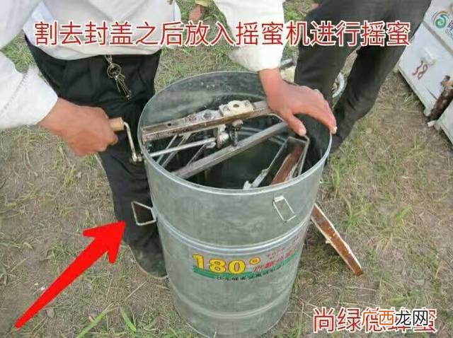没有摇蜜机怎么取蜂蜜,白天取蜂蜜的正确方法和做法？