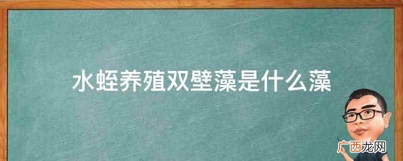 Diploneis ovalis 水蛭养殖双壁藻 水蛭养殖双壁藻是什么藻