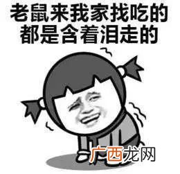 青黄不接是什么意思?,青黄不接是什么意思?