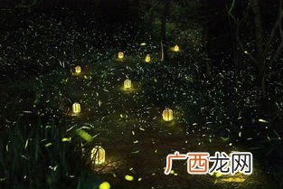 流萤是什么意思,夏日流萤是什么意思？