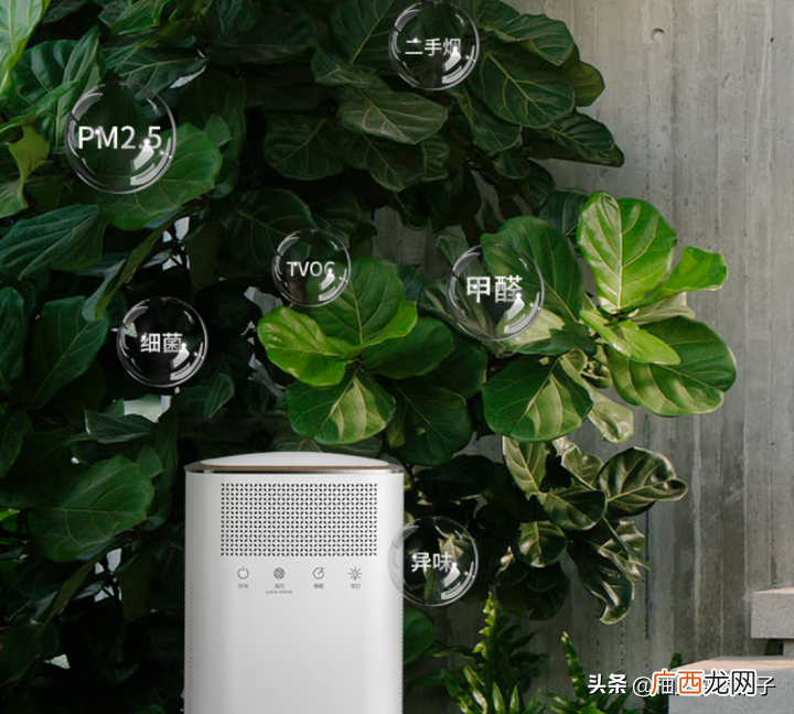 家用空气净化器的选购技巧 净化器有什么作用和好处