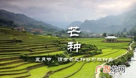 芒种是什么意思,惊蛰,清明。小满。芒种。是什么意思?