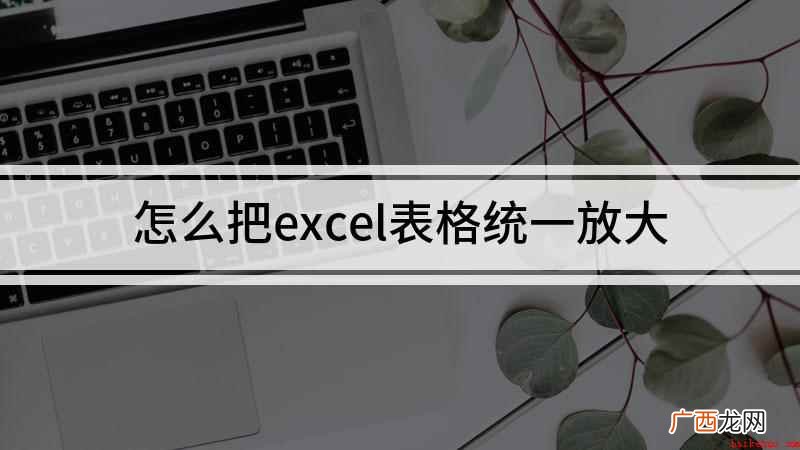 excel变大怎么办 怎么把excel表格统一放大