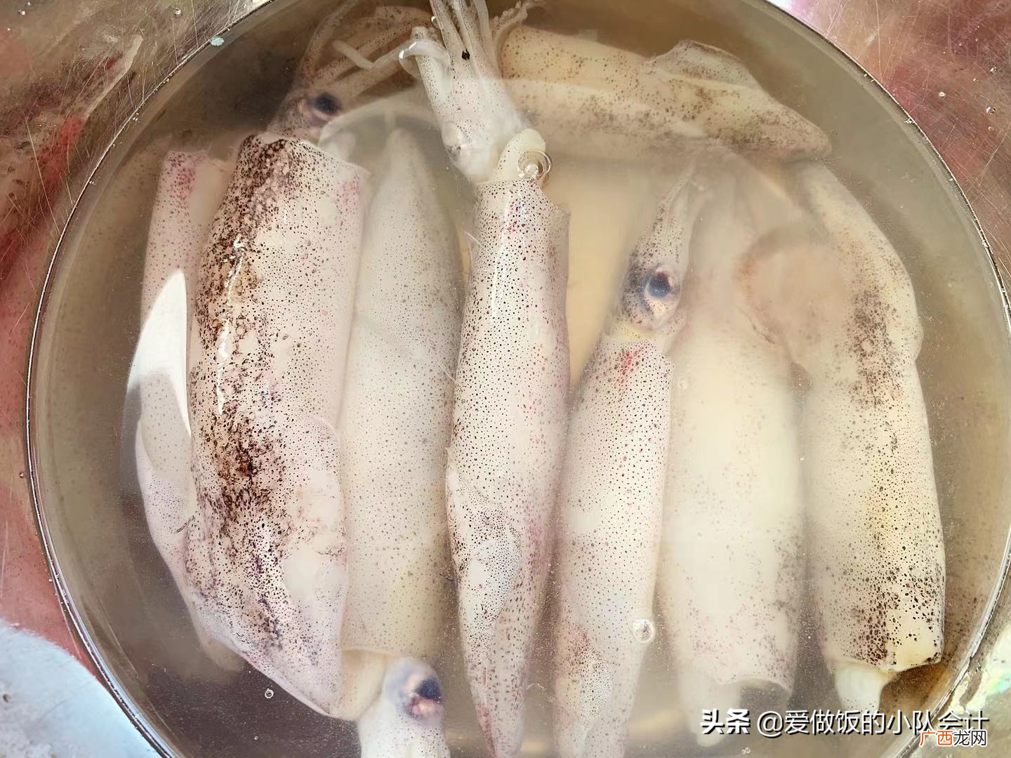 教你正确清洗海兔子方法 海兔子怎么处理干净图片