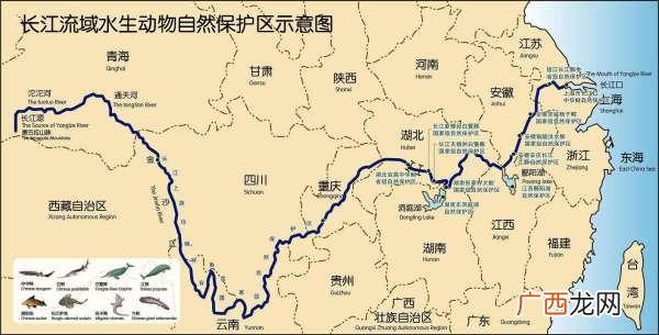 长江经过哪些城市,长江经过哪些城市？