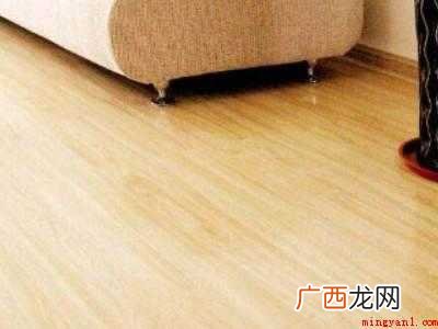 小飞虫满屋都是怎么杀的 小飞虫满屋都是怎么杀