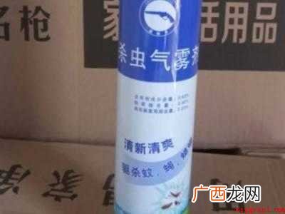 小飞虫满屋都是怎么杀的 小飞虫满屋都是怎么杀