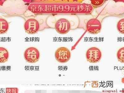 演示机型:Iphone 12 京东券在哪里领