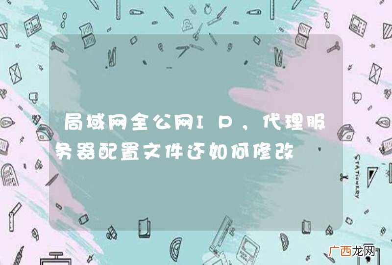 局域网全公网IP，代理服务器配置文件还如何修改