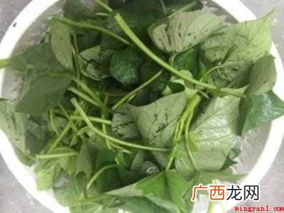 番薯藤怎么吃