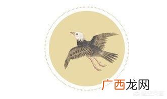 溺而不返的返是什么意思,溺而不返的返是什么意思？