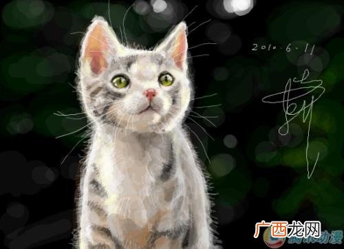 关于猫的谜语,大熊猫的谜语有哪些50字？