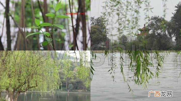 二月春风似剪刀的似是什么意思