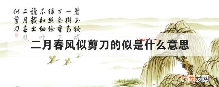 二月春风似剪刀的似是什么意思