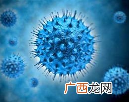 virus是什么意思,ebv是什么意思？
