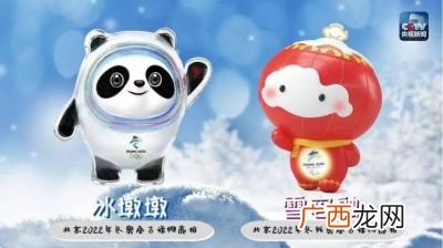 冰墩墩和雪容融是什么,我们的冬奥和熊出没哪个好看?