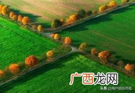 sweetbaby是什么意思,sweet baby怎么回复？