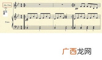 flute是什么意思,flute什么意思？
