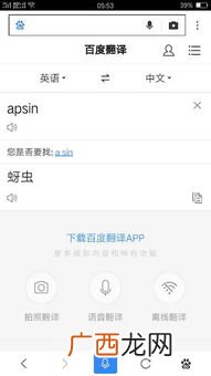 in什么意思,in的中文是什么意思？