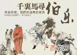 伯乐不常有,千里马常有什么意思,千里马常有而伯乐不常有,意思?
