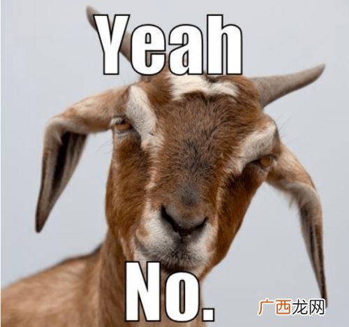 goats是什么意思,goat可不可以加复数？