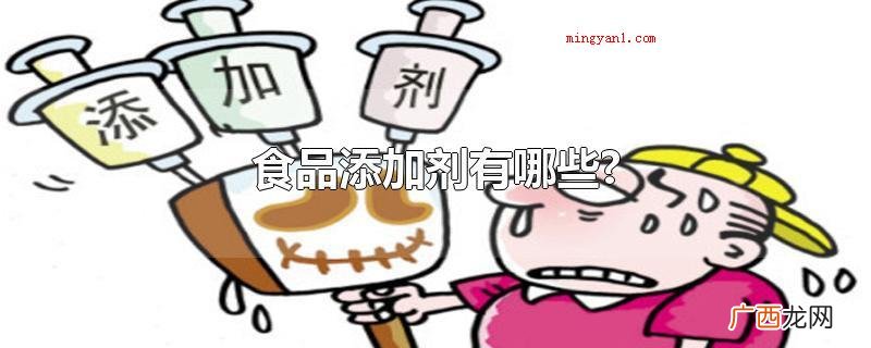 食品添加剂有哪些?