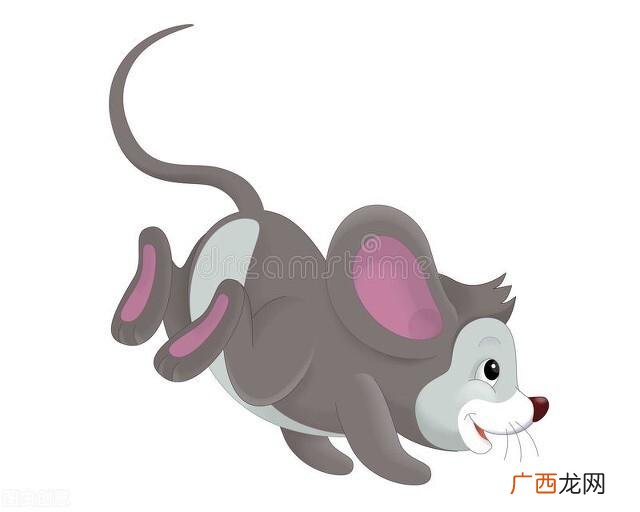 定力最好的生肖有哪些 十二生肖定力强吗