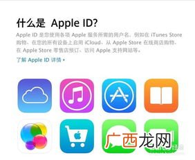 store是什么意思,商店英文怎么写？